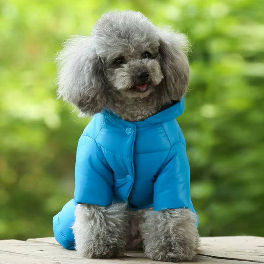 Wholesale Pet Product Factory and Cheap Sweater Pet Accessories Dog Clothes