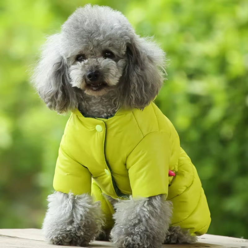 Wholesale Pet Product Factory and Cheap Sweater Pet Accessories Dog Clothes