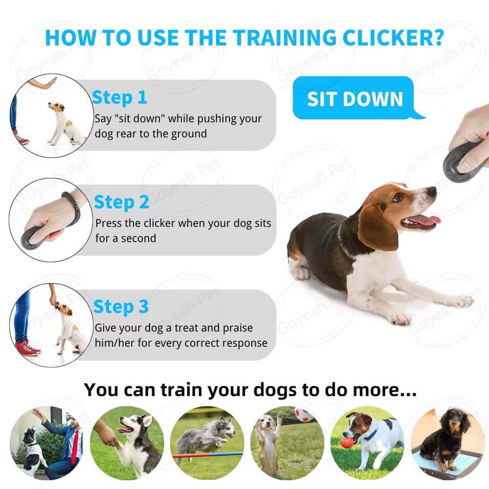 Custom Puppy Starter Kit Pet Accessories for Small and Medium Dogs