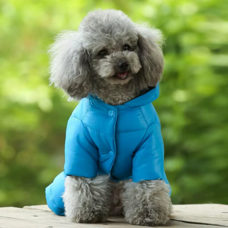 Wholesale Pet Product Factory and Cheap Sweater Pet Accessories Dog Clothes