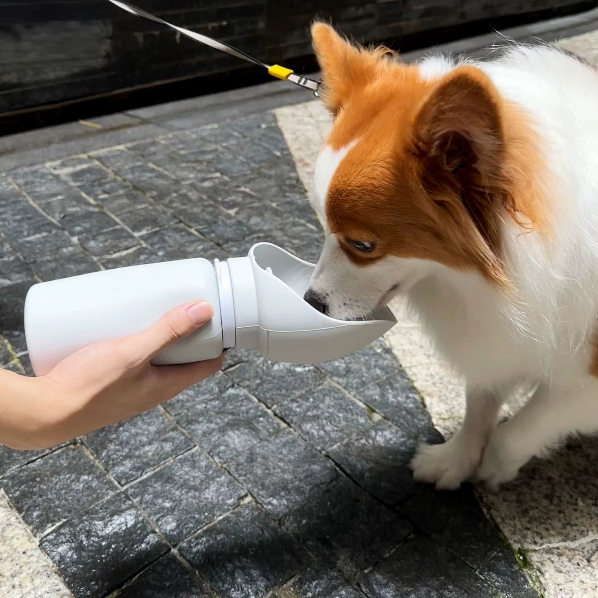 Outdoor Portable Water Cup for Walking Dogs and Cats Cute Dog Food Water Dispenser Pet Bowl with Bottle
